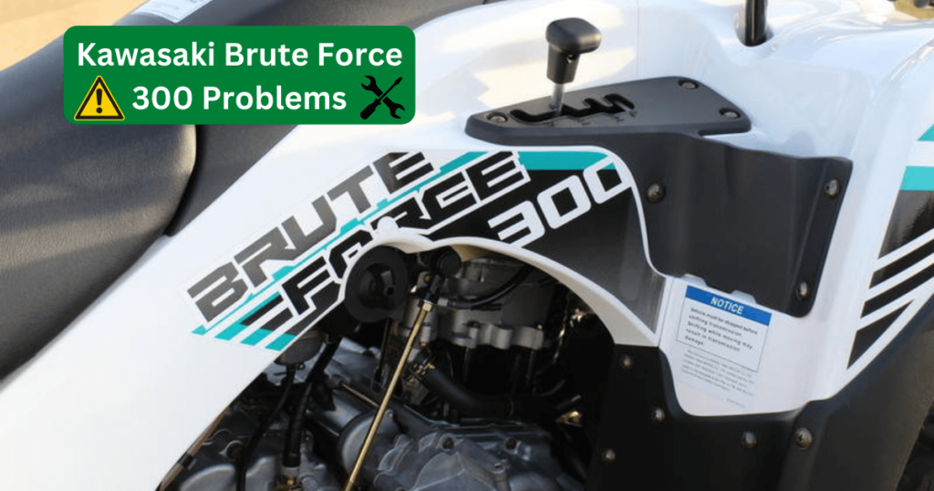 Kawasaki Brute Force 300 Problems (With SOLUTIONS!) OffRoad Official